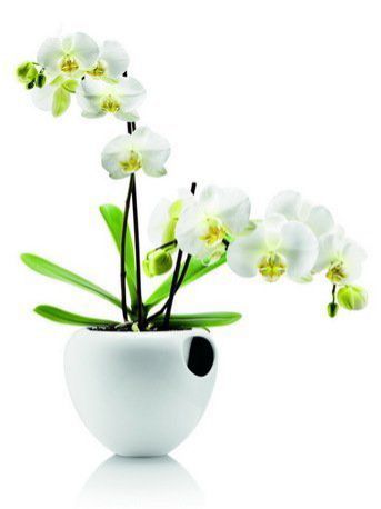 Eva Solo Горшок для орхидеи Orchid pot, белый, 18.2x18.5x14.5 см 568240 Eva Solo