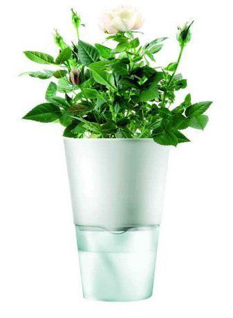 Eva Solo Горшок для растений Herb pot, матово-белый, 11x17.5 см 568103 Eva Solo