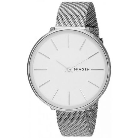 Наручные часы Skagen SKW2687