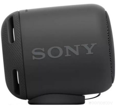 Портативная акустика Sony SRS-XB10 Black