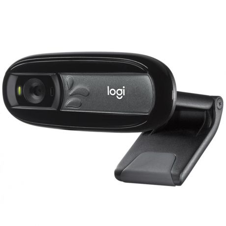 Веб-камера Logitech Cam C170 черный 0.3Mpix USB2.0 с микрофоном