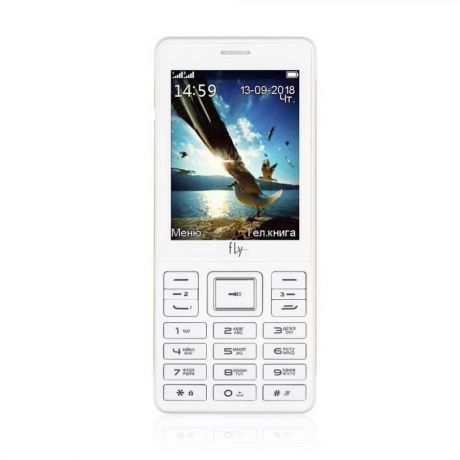 Мобильный телефон Fly TS114 WHITE