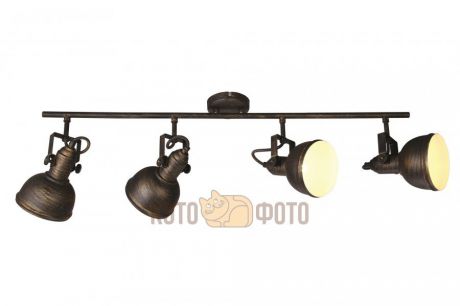 Спот Arte Lamp Martin A5215PL-4BR