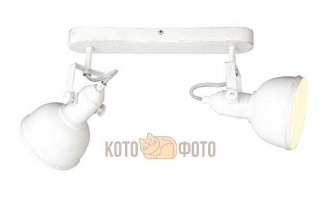 Спот Arte Lamp Martin A5213AP-2WG