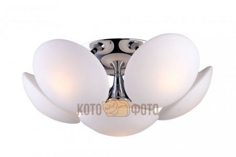Потолочный светильник Arte Lamp Soffione A2550PL-6CC