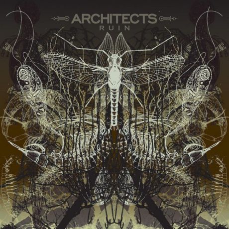 Виниловая пластинка Architects, Ruin (LP, CD)
