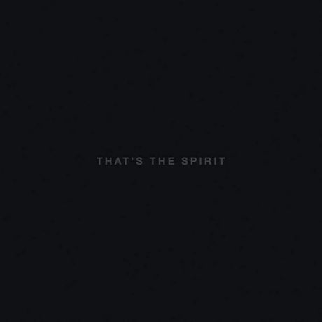 Виниловая пластинка Bring Me The Horizon, That’S The Spirit (LP, CD)