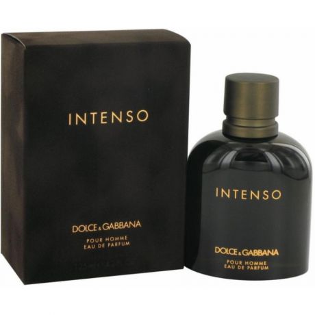 Парфюмерная вода Dolce&Gabbana Intenso Ph, 125 мл, мужская
