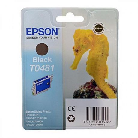 Картридж Epson T0481 (C13T04814010) для Epson St Ph R200/300/500/600, черный