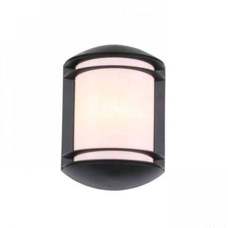Уличный светильник настенный ST-Luce SL076.401.01 черный/белый