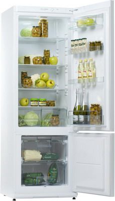 Двухкамерный холодильник Snaige RF 32 SM-S 10021