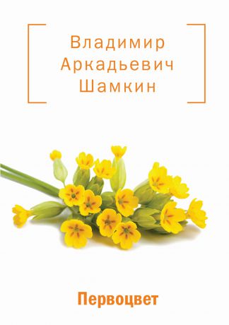 Владимир Шамкин Первоцвет (сборник)