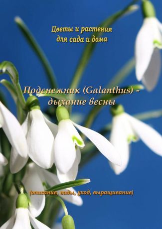 Федор Кольцов Подснежник (Galanthus) – дыхание весны