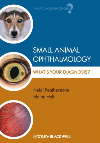 Featherstone Heidi Small Animal Ophthalmology. What