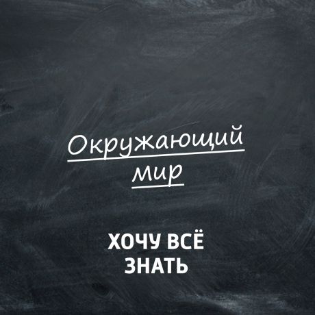 Творческий коллектив программы «Хочу всё знать» Моллюски