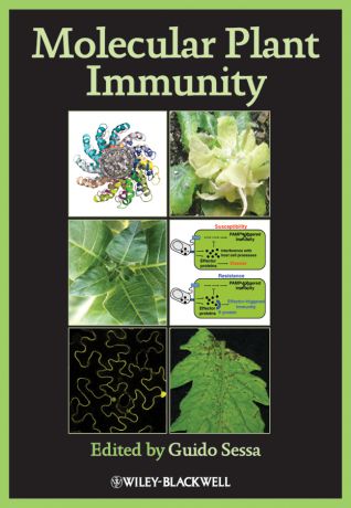 Guido Sessa Molecular Plant Immunity