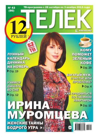 Редакция газеты ТЕЛЕК PRESSA.RU Телек 43-2013