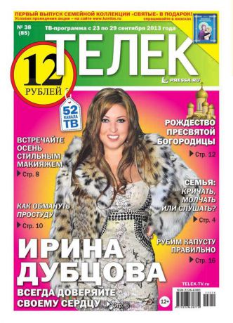 Редакция газеты ТЕЛЕК PRESSA.RU Телек 38-2013