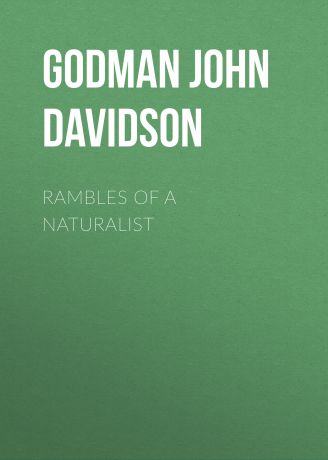 Godman John Davidson Rambles of a Naturalist