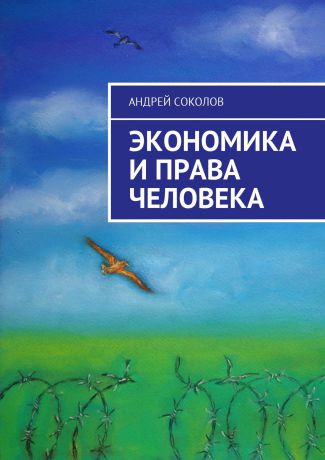 Андрей Соколов Экономика и права человека