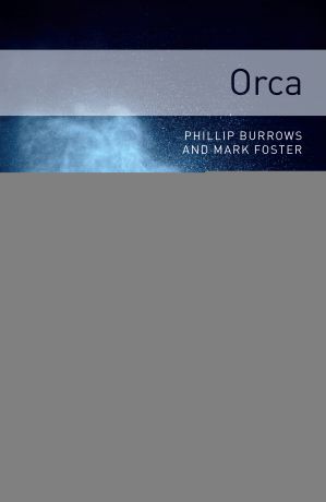 Mark Foster Orca