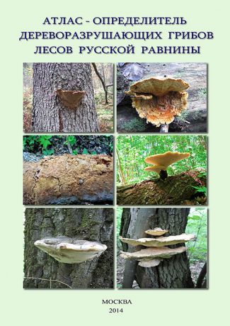 В. Г. Стороженко Атлас-определитель дереворазрушающих грибов лесов Русской равнины