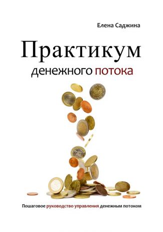 Елена Саджина Практикум денежного потока. Пошаговое руководство управления денежным потоком