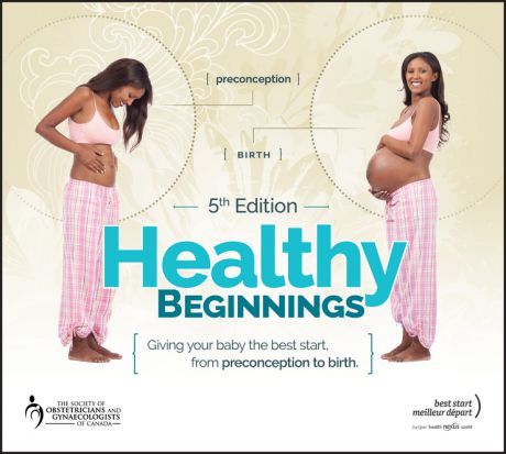 Jennifer Blake Healthy Beginnings. Giving Your Baby the Best Start, from Preconception to Birth