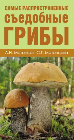 Александр Матанцев Самые распространенные съедобные грибы