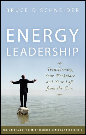 Bruce Schneider D. Energy Leadership. Transforming Your Workplace and Your Life from the Core