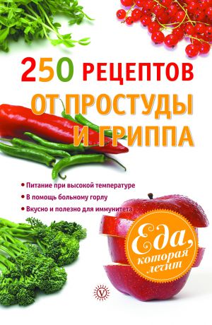 Виктор Ильин 250 рецептов от простуды и гриппа