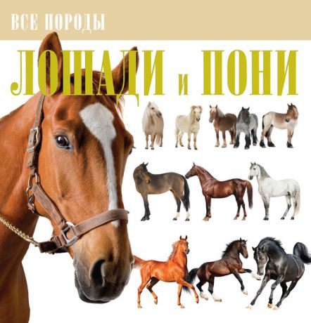 В. М. Жабцев Лошади и пони