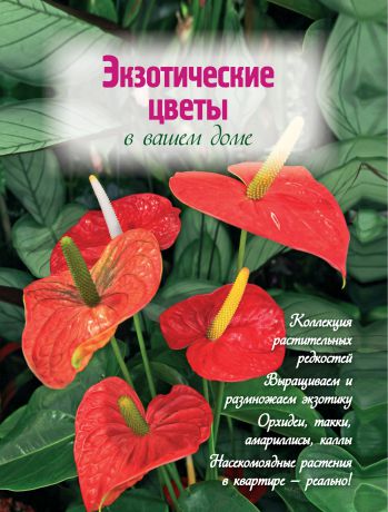 Наталья Власова Экзотические цветы в вашем доме