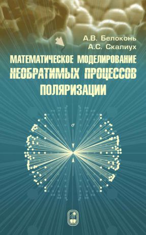 А. В. Белоконь Математическое моделирование необратимых процессов поляризации