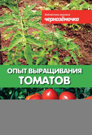 Отсутствует Опыт выращивания томатов