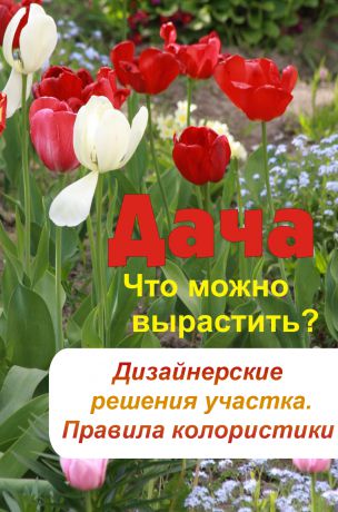 Отсутствует Что можно вырастить? Дизайнерские решения участка. Правила колористики