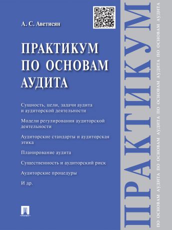 Ануш Сергеевна Аветисян Практикум по основам аудита. Учебное пособие