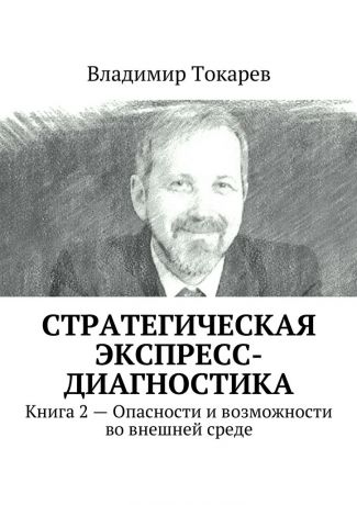 Владимир Токарев Стратегическая экспресс-диагностика. Книга 2 – Опасности и возможности во внешней среде