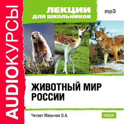 Коллектив авторов Животный мир России
