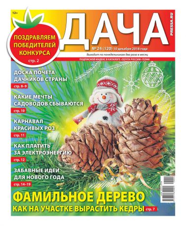 Редакция газеты Дача Pressa.ru Дача Pressa.ru 24-2018