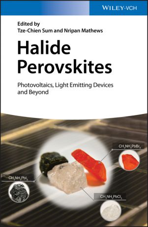 Nripan Mathews Halide Perovskites. Photovoltaics, Light Emitting Devices, and Beyond