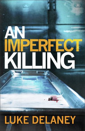 Luke Delaney An Imperfect Killing