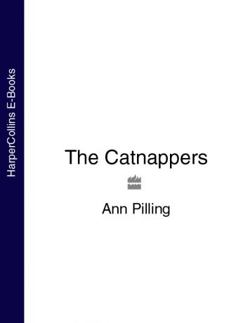 Ann Pilling The Catnappers