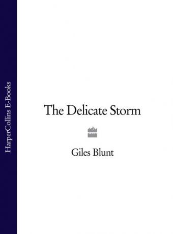 Giles Blunt The Delicate Storm