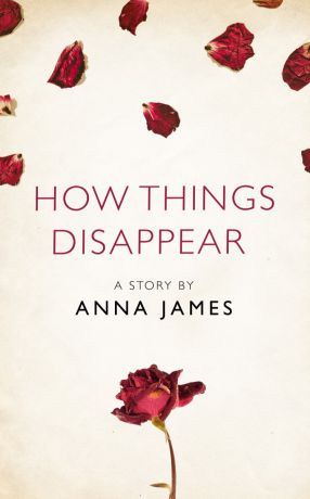 Anna James How Things Disappear: A Story from the collection, I Am Heathcliff