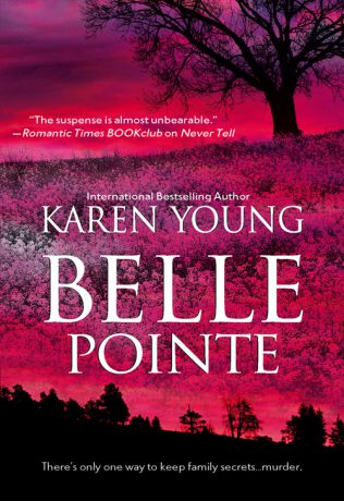 Karen Young Belle Pointe