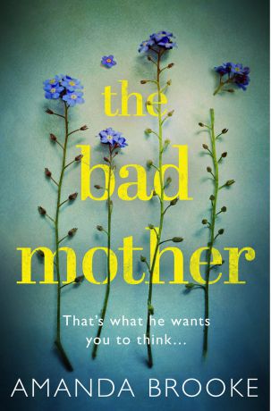 Amanda Brooke The Bad Mother: The addictive, gripping thriller that will make you question everything