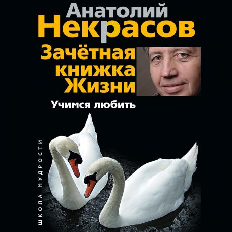 Анатолий Некрасов Зачетная книжка жизни. Учимся любить