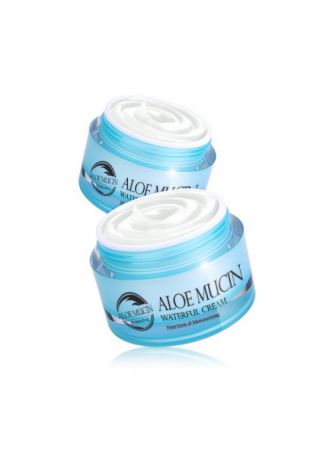 The Skin House Aloe Mucin Waterful Cream - Крем с Алоэ и Улиточным Секретом, 50 мл