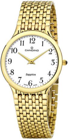 Мужские часы Candino C4363_1-ucenka